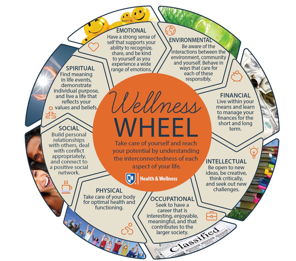 Wellness  Wheel